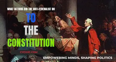 Anti-Federalists: Constitution's Unsung Guardians or Detractors?