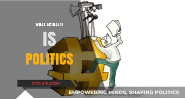 Understanding Politics: Unraveling the Complex World of Power and Governance