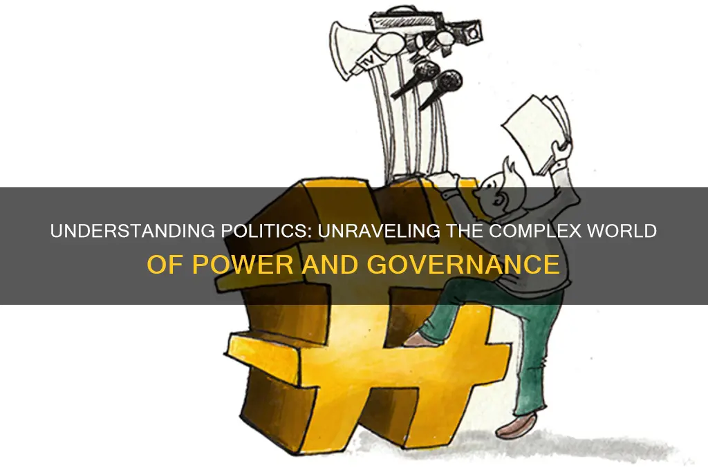 what actually is politics