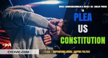 Understanding Plea Deals: Your Constitutional Rights and Admonishments