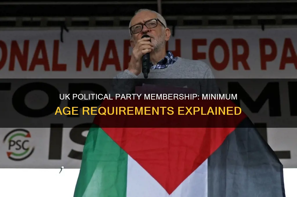 what age can you join a political party uk