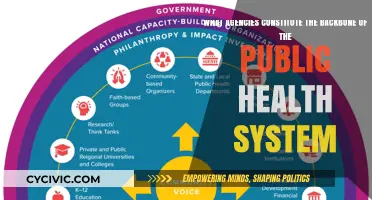 The Public Health System: Agencies at the Core