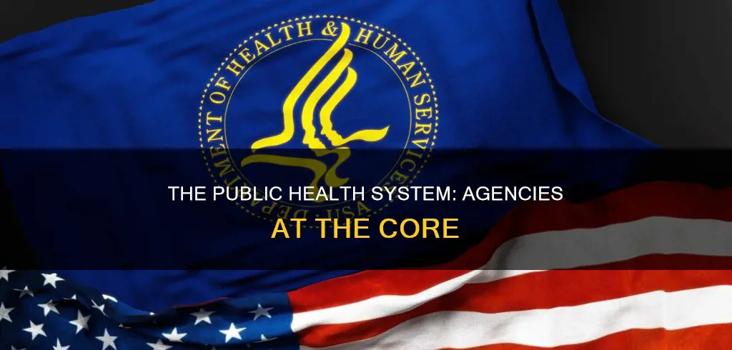 what agencies constitute the backbone of the public health system