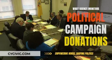 Who Watches Political Campaign Donations?
