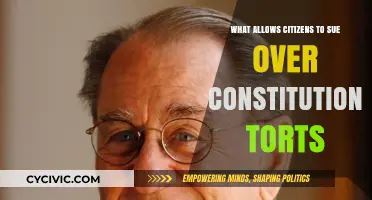 Suing for Constitutional Torts: Citizen Power Explained