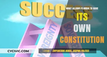 Florida's Constitution: State's Rights and History