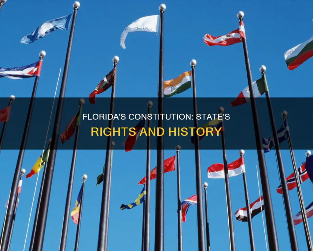 what allows flordia to have its own constitution