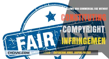 Understanding Fair Use: Non-Commercial Applications