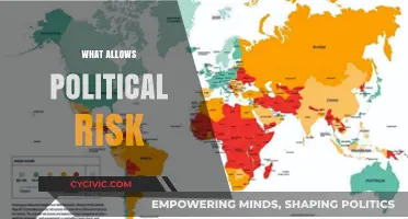 Understanding the Factors That Enable Political Risk in Global Markets
