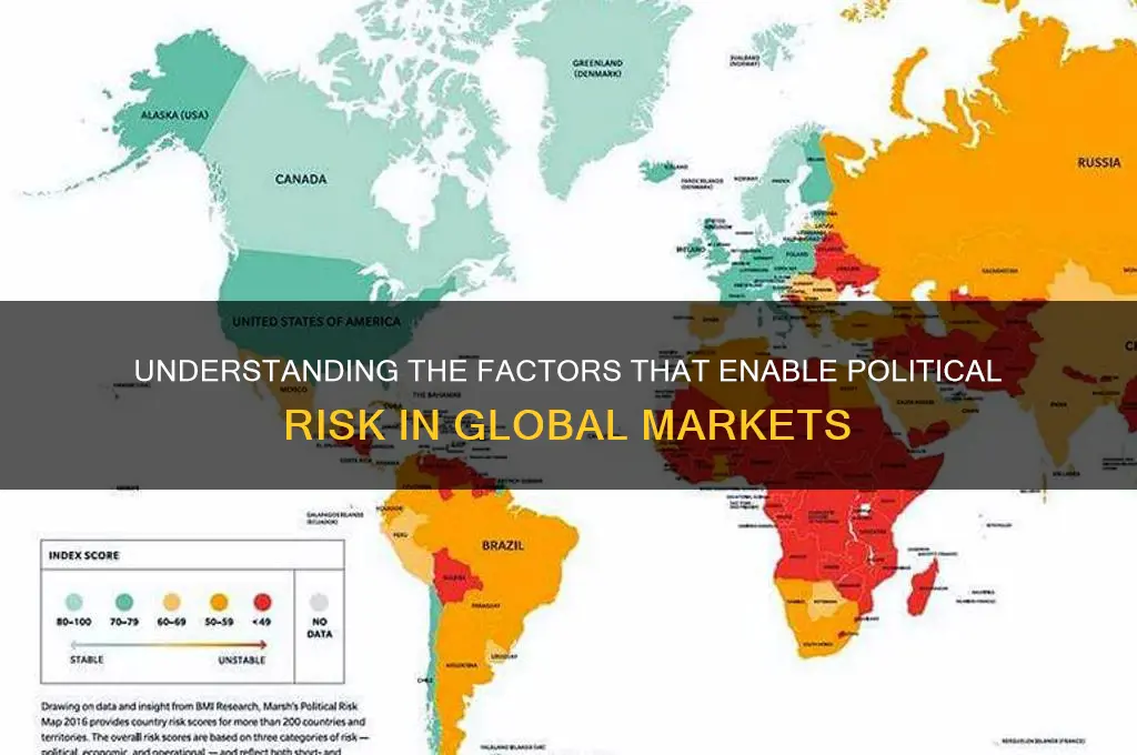 what allows political risk