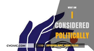 Understanding My Political Identity: A Guide to Self-Reflection and Alignment