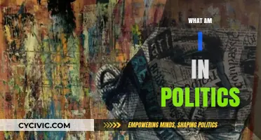 Understanding Your Political Identity: A Guide to Self-Discovery in Politics