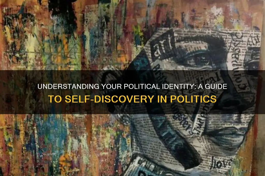 what am i in politics