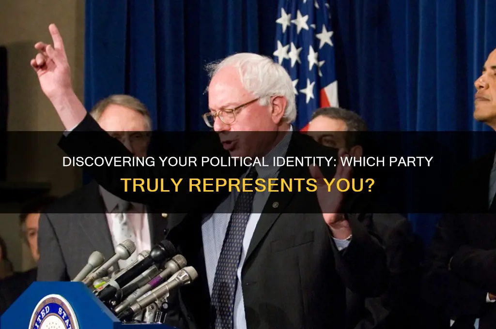 what am i political party