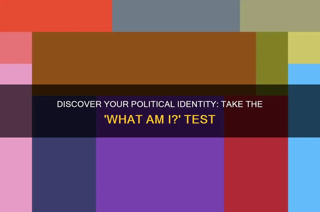 what am i political test
