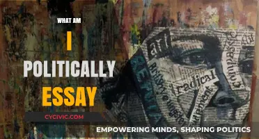 Exploring My Political Identity: A Personal Essay on Beliefs and Values