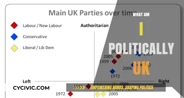 Exploring Your Political Identity: Understanding UK Politics and Where You Stand