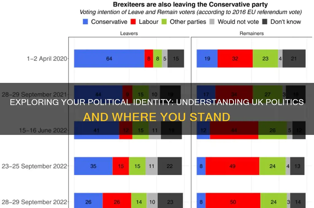 what am i politically uk