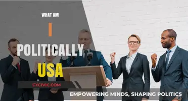 Exploring My Political Identity: Understanding Where I Stand in the USA