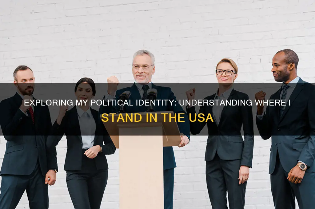 what am i politically usa