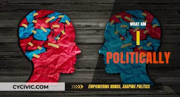 Exploring My Political Identity: Understanding Beliefs, Values, and Alignment