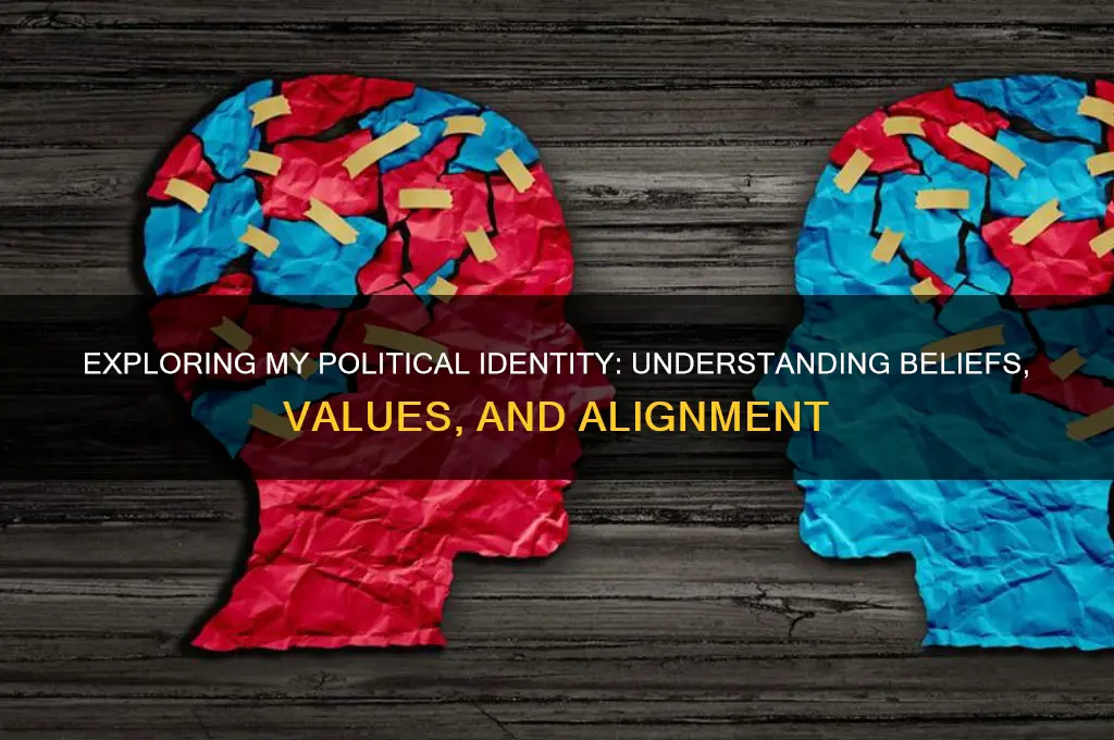 what am i politically