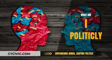 Exploring My Political Identity: Understanding Beliefs, Values, and Alignment