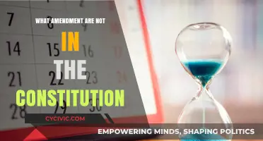 Amendments That Never Made the Cut