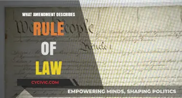 The Rule of Law: A Foundation of Our Constitution