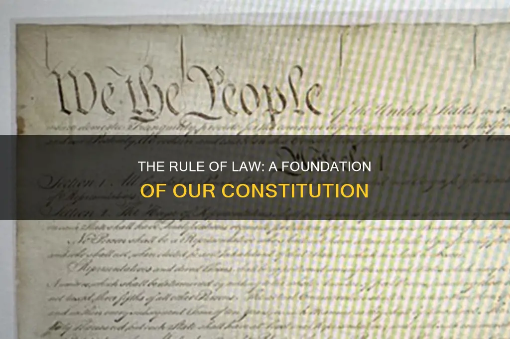 what amendment describes rule of law