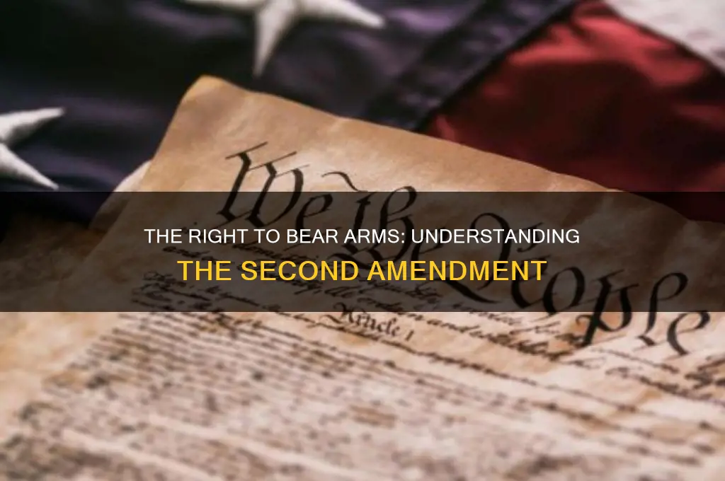 what amendment gives you the right to bear arms