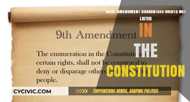 The Unwritten Rights: Amendments and Their Guarantees