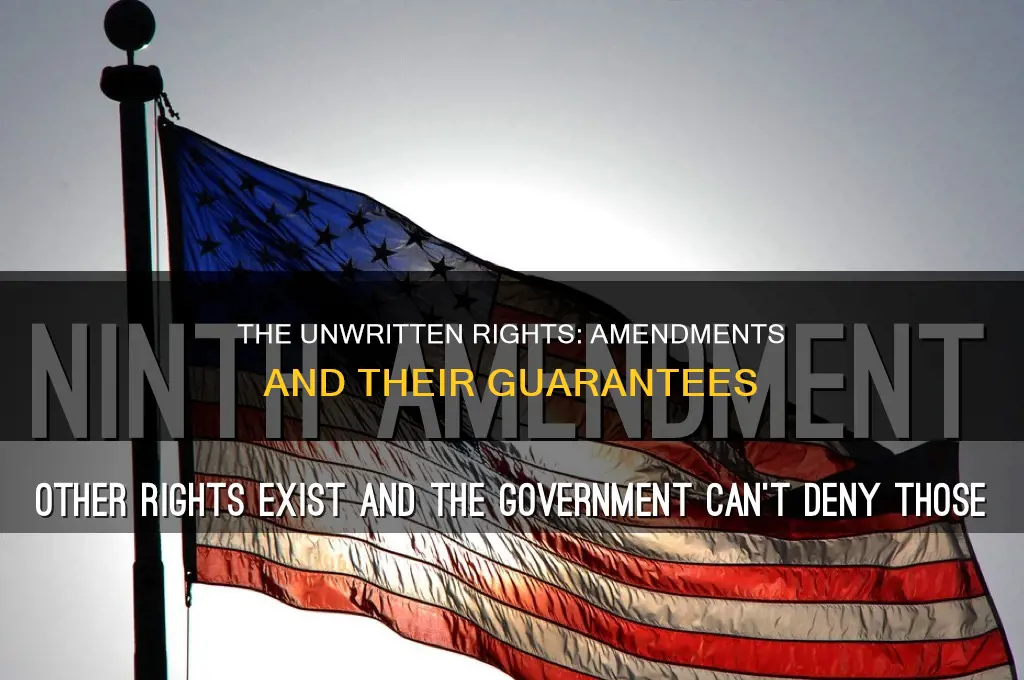 what amendment guarantees rights not listed in the constitution
