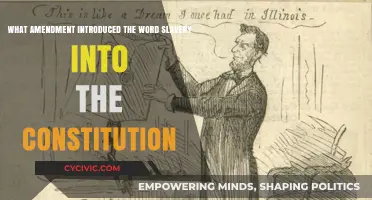 Slavery's Legalization: The Constitution's Darkest Amendment