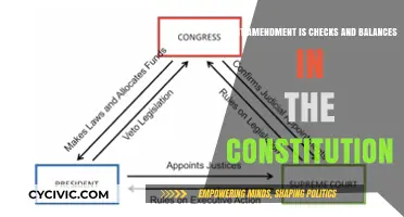 Checks and Balances: Which Amendment?