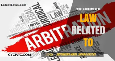 Amendments: The Law's Evolution and Adaptation