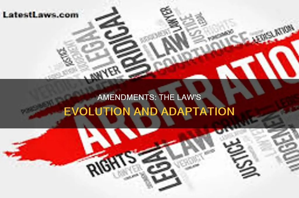 what amendment is law related to