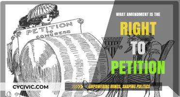 The Right to Petition: A Fundamental Freedom Guaranteed by the First Amendment