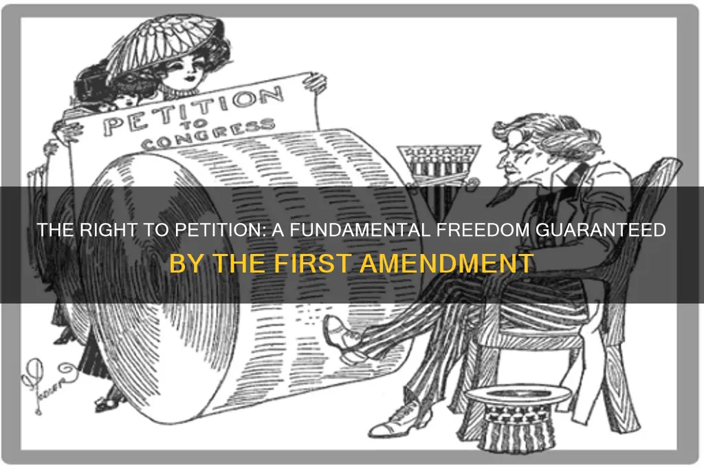 what amendment is the right to petition