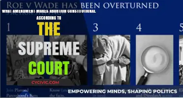 The Supreme Court's Abortion Ruling: What Amendment?