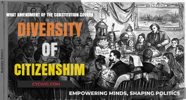 Diverse Citizenship: Constitutional Amendments for Inclusion