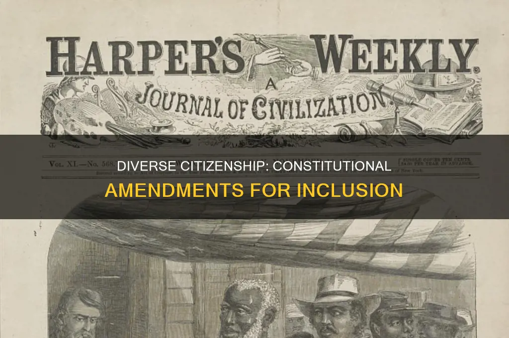 what amendment of the constitution covers diversity of citizenshim