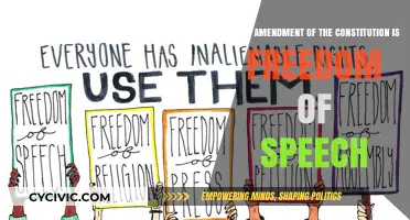 Freedom of Speech: The Constitution's First Amendment