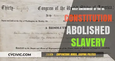 The Amendment That Freed: Abolishing Slavery in America