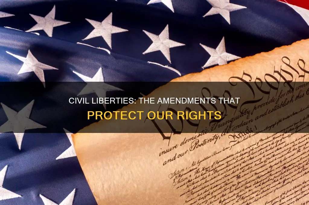 what amendment protects certain political and civil rights
