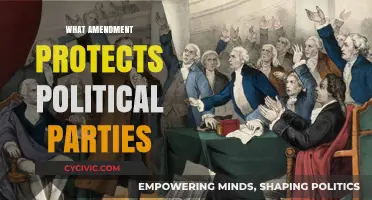 First Amendment Safeguards: Political Parties' Freedom to Organize and Advocate