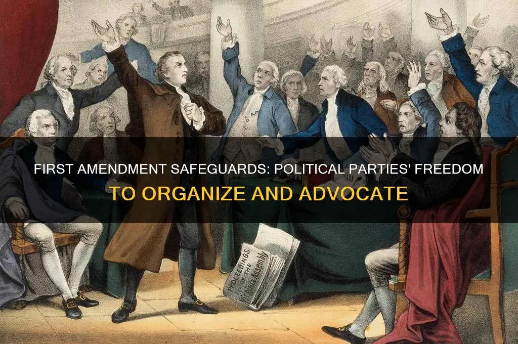 what amendment protects political parties