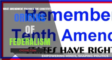 Federalism's Constitutional Roots: Exploring the Tenth Amendment