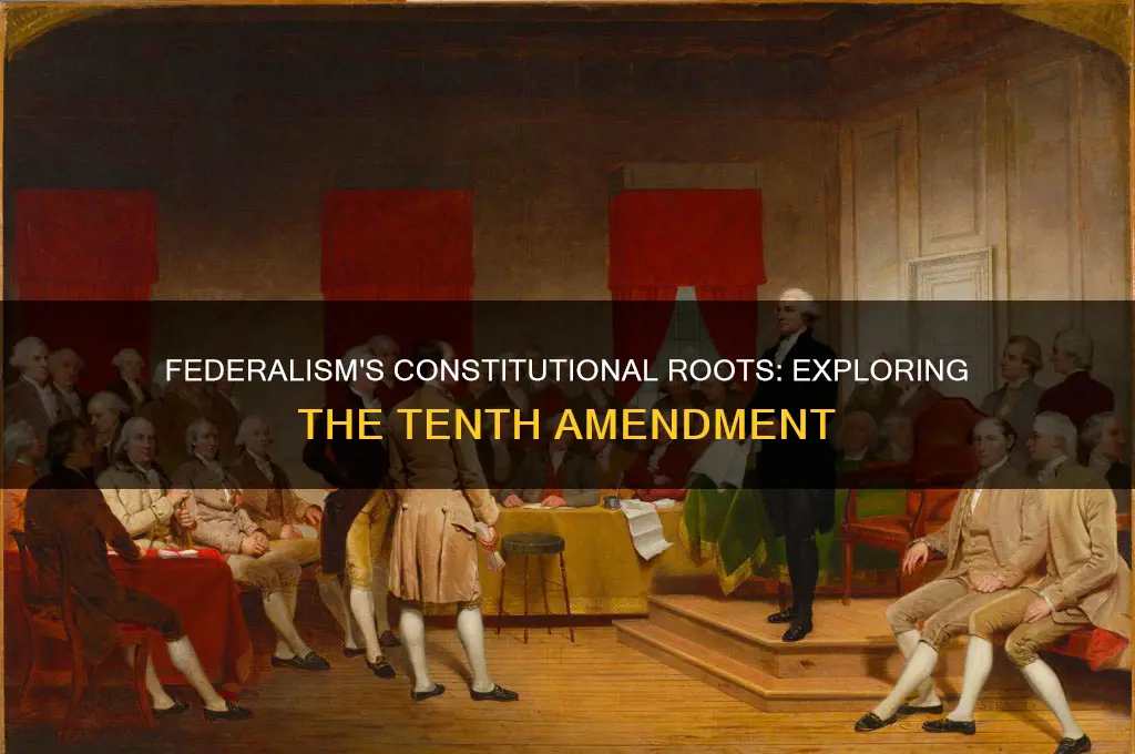 what amendment provides the constitutional origins of federalism