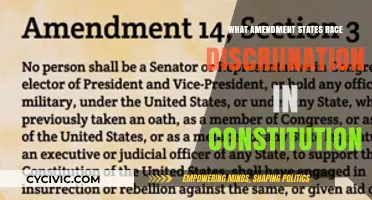 Race Discrimination: Which Amendment Protects Us?